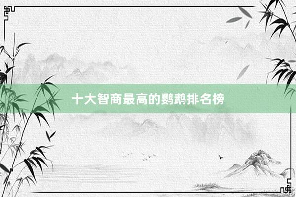 十大智商最高的鹦鹉排名榜