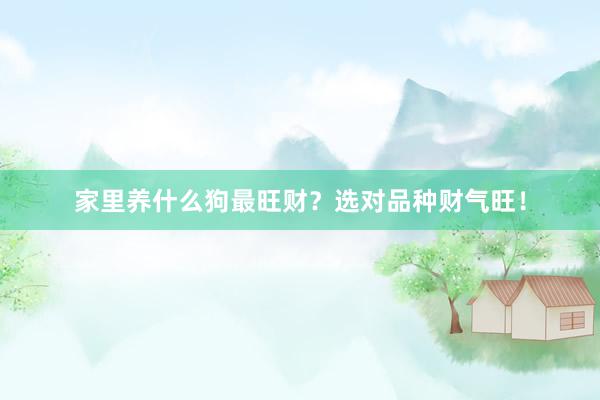 家里养什么狗最旺财？选对品种财气旺！